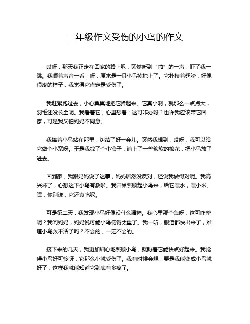 二年级作文受伤的小鸟的作文