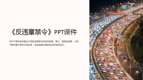 《反违章禁令》课件