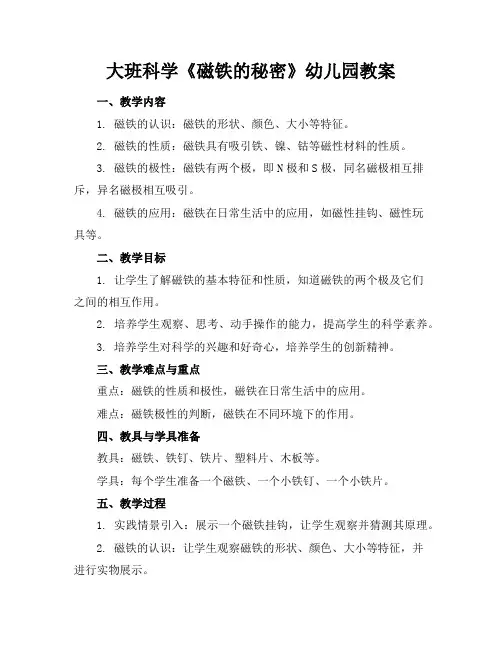 大班科学《磁铁的秘密》幼儿园教案