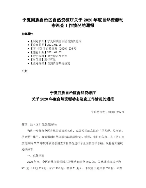 宁夏回族自治区自然资源厅关于2020年度自然资源动态巡查工作情况的通报