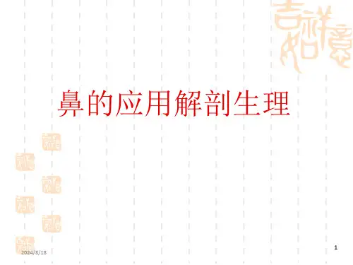 鼻的应用解剖生理PPT课件全文