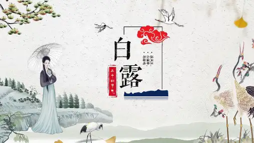 白露节气中华文化PPT模板