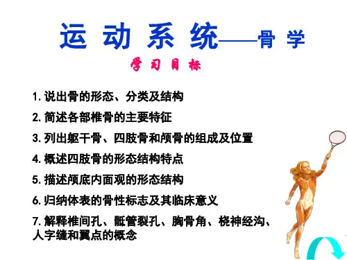 骨学