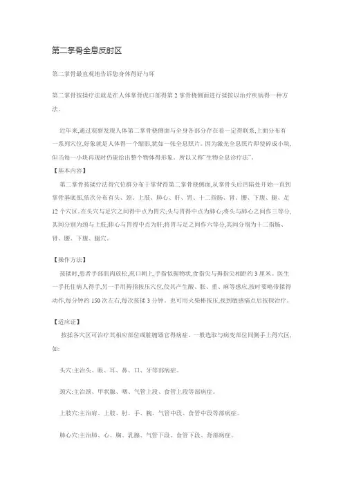 第二掌骨全息反射区