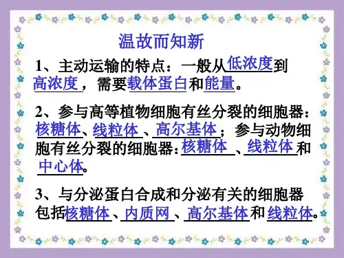 ATP高中生物课件