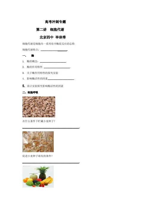 高考生物总复习例题讲解：专题突破 第二讲 细胞代谢