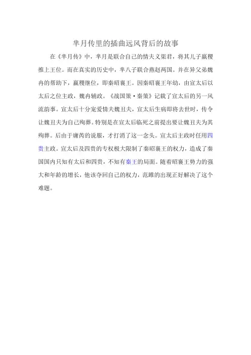 芈月传里的插曲远风背后的故事