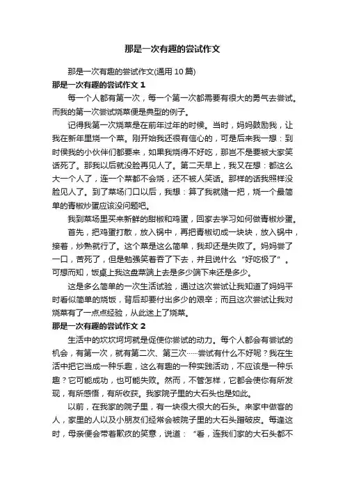 那是一次有趣的尝试作文