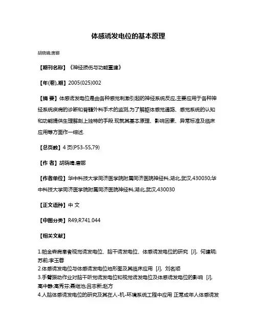 体感诱发电位的基本原理