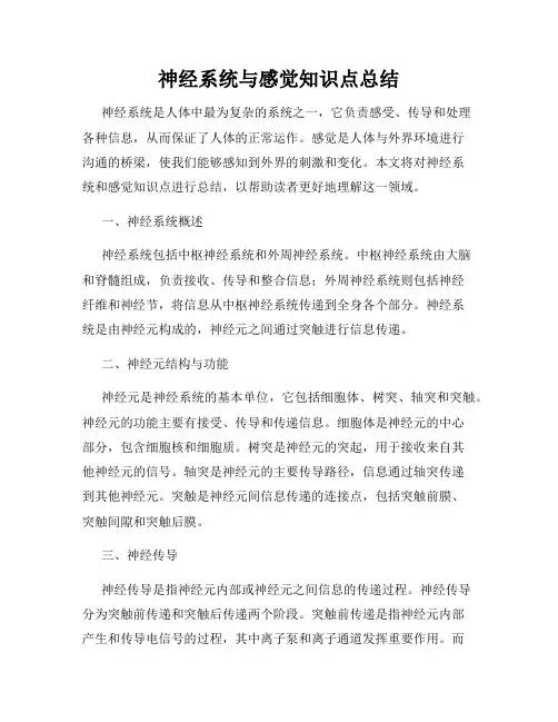 神经系统与感觉知识点总结