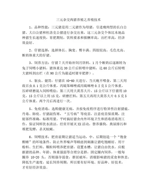 三元杂交肉猪养殖之养殖技术