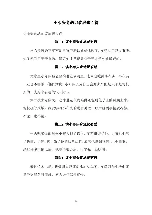 小布头奇遇记读后感4篇