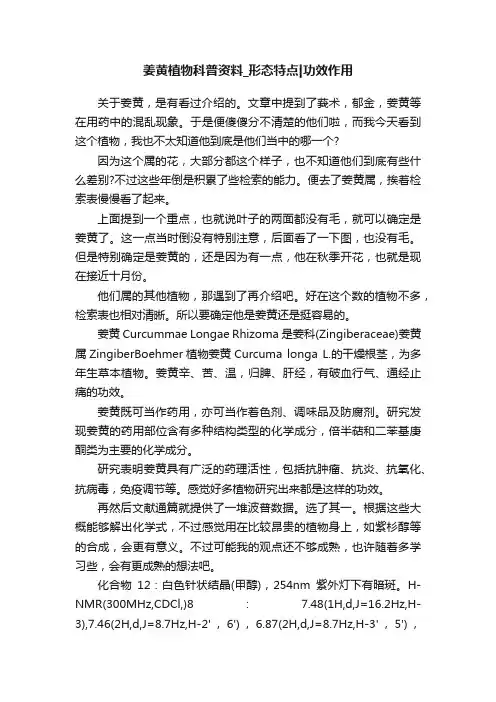 姜黄植物科普资料_形态特点功效作用