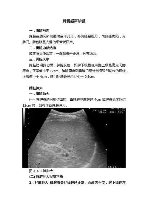 脾脏超声诊断