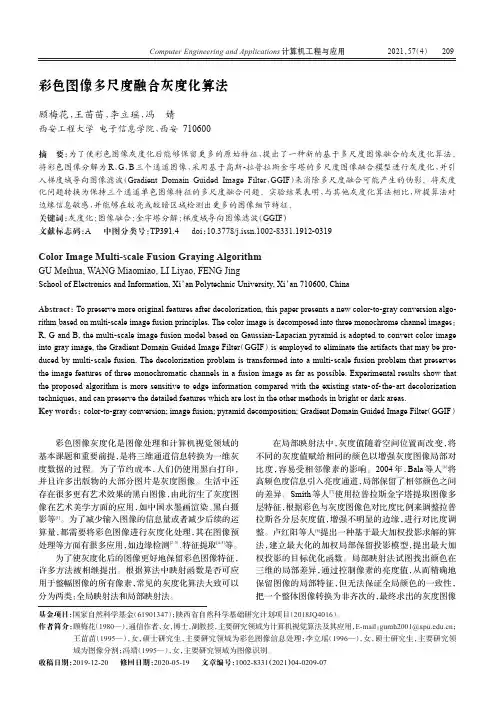 彩色图像多尺度融合灰度化算法