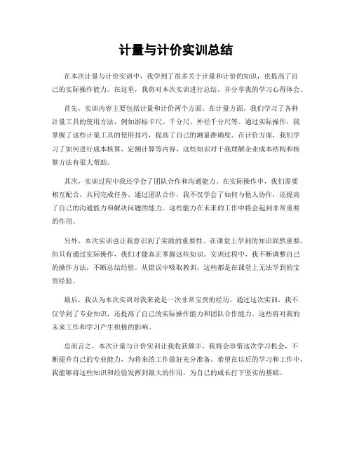 计量与计价实训总结