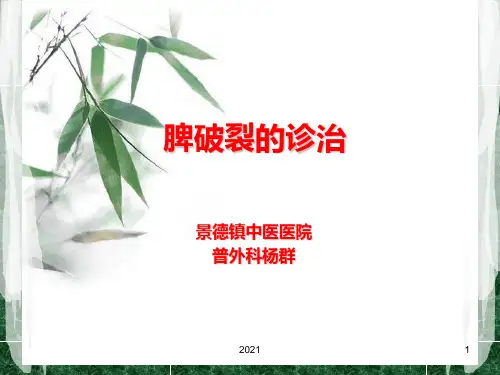 脾破裂的诊治PPT课件
