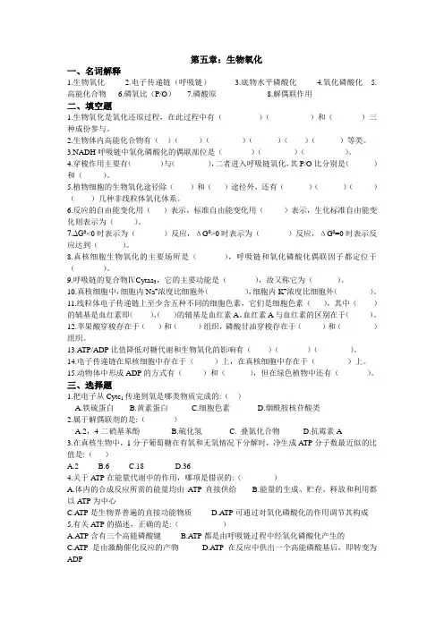 生物氧化试题