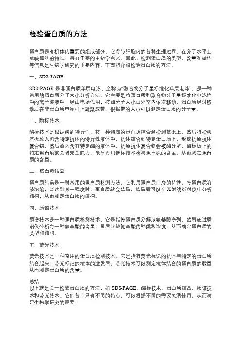 检验蛋白质的方法