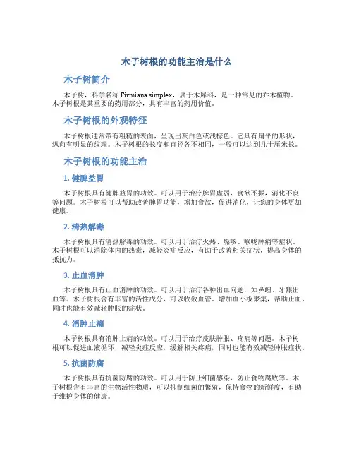 木子树根的功能主治是什么