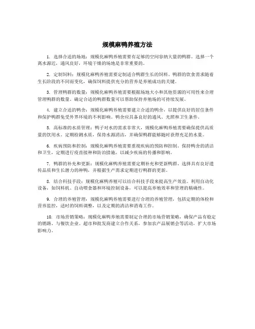 规模麻鸭养殖方法