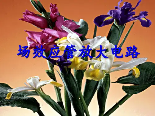 MOS管介绍概要PPT课件