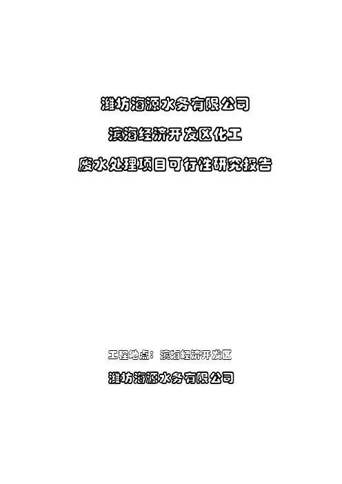 化工废水处理项目可行性研究报告