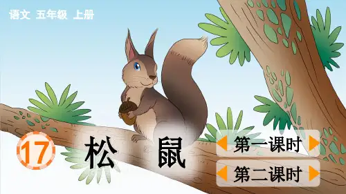 部编版五年级语文上册《松鼠》精品课件