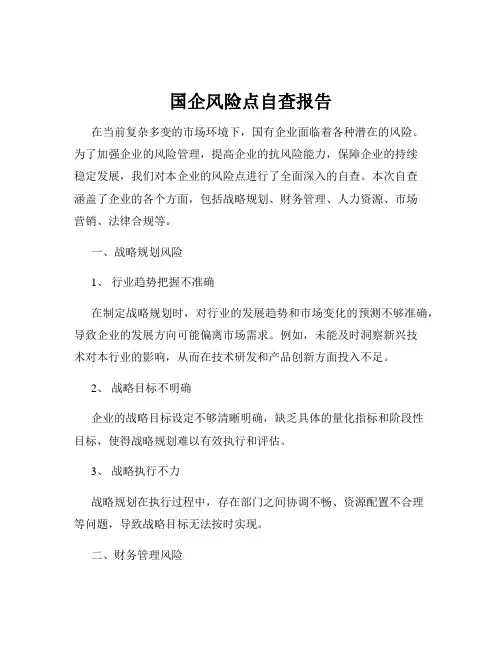 国企风险点自查报告