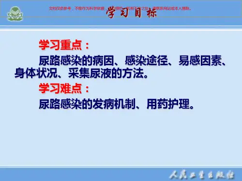 肾盂肾炎病人的护理培训课件