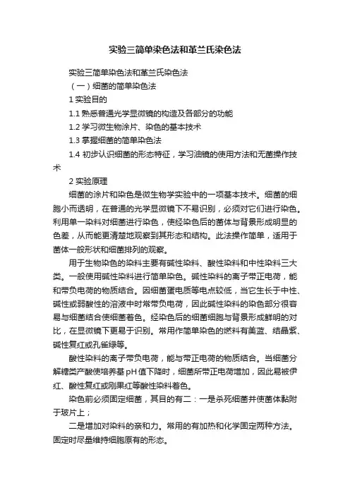 实验三简单染色法和革兰氏染色法