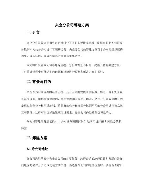 央企分公司筹建方案