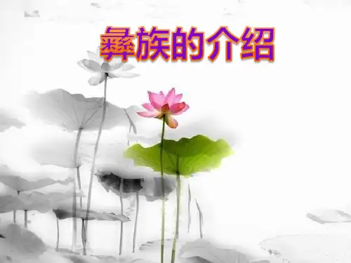 彝族介绍