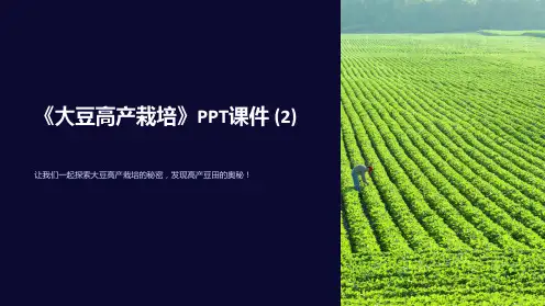 《大豆高产栽培》课件 (2)