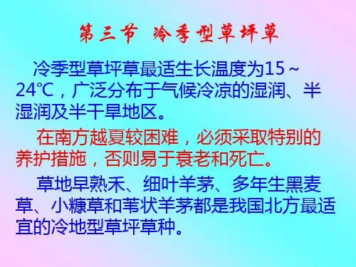 冷季型草坪草 PPT