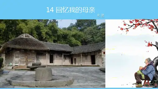 第14课《回忆我的母亲》课件精品