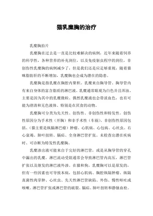 猫乳糜胸的治疗
