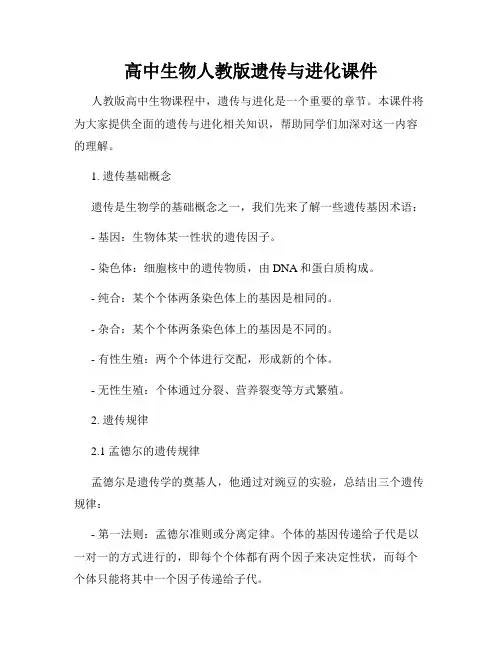 高中生物人教版遗传与进化课件