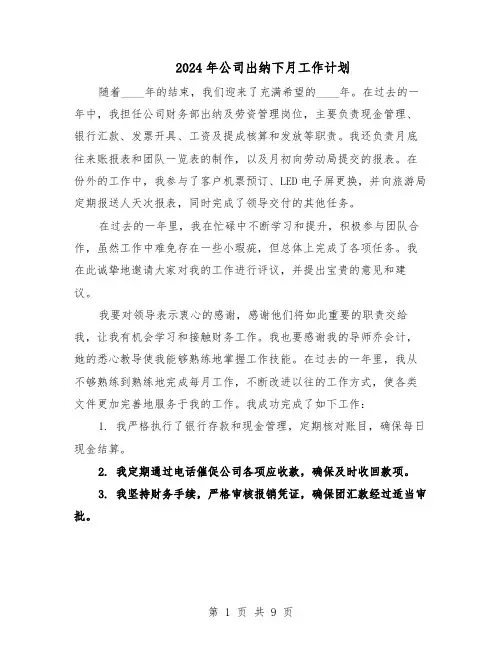 2024年公司出纳下月工作计划（6篇）
