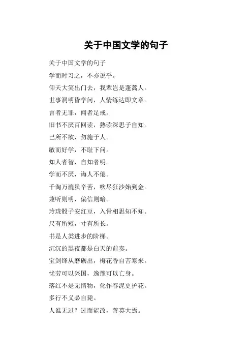 关于中国文学的句子