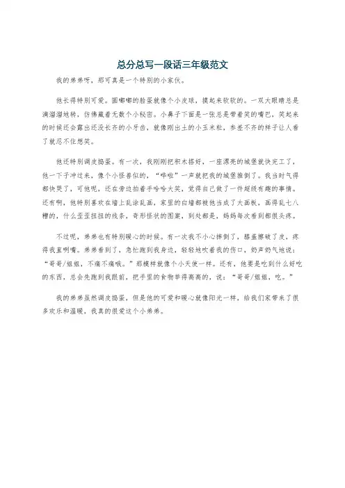 总分总写一段话三年级范文