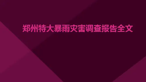郑州特大暴雨灾害调查报告全文