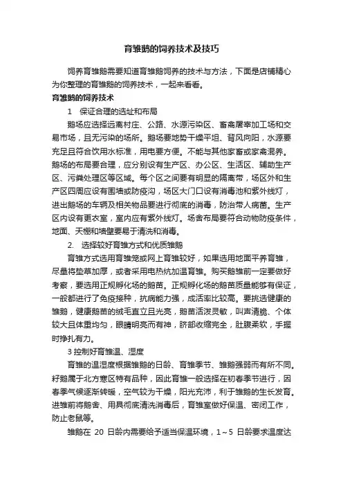 育雏鹅的饲养技术及技巧