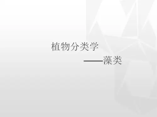 高中生物竞赛课件植物分类学——藻类