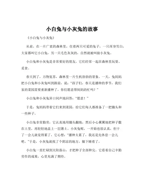 小白兔与小灰兔的故事