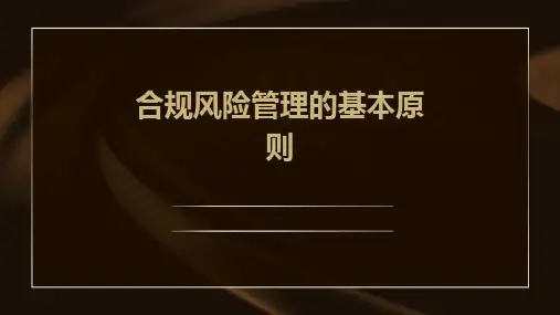 合规风险管理的基本原则