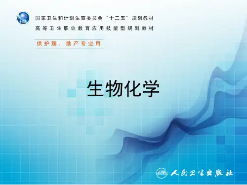 第七章  脂类代谢