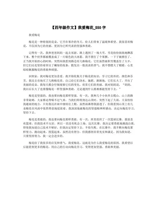【四年级作文】我爱梅花_550字