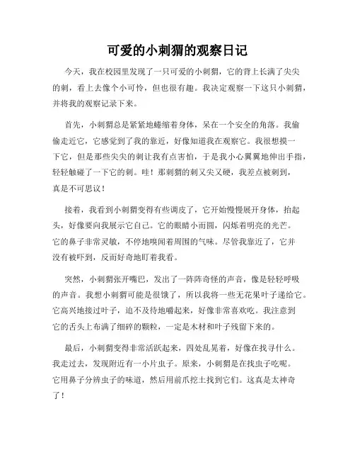 小学三年级作文可爱的小刺猬的观察日记