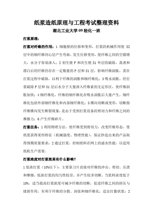 造纸原理与工程